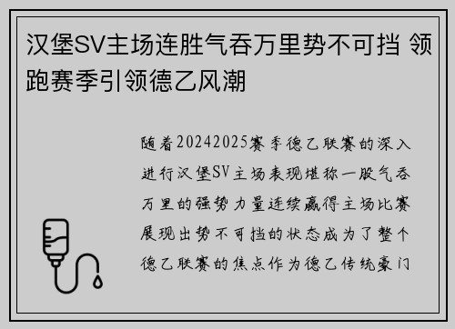 汉堡SV主场连胜气吞万里势不可挡 领跑赛季引领德乙风潮