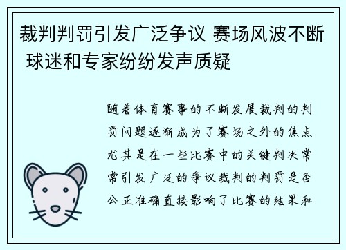 裁判判罚引发广泛争议 赛场风波不断 球迷和专家纷纷发声质疑