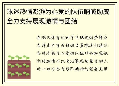 球迷热情澎湃为心爱的队伍呐喊助威全力支持展现激情与团结