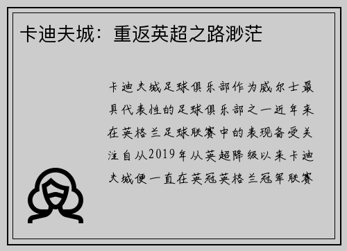 卡迪夫城：重返英超之路渺茫